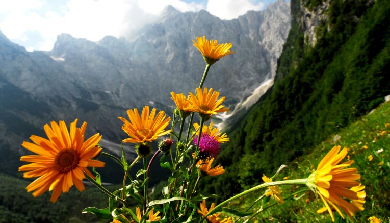 Bsvi-slovenia-biking-8